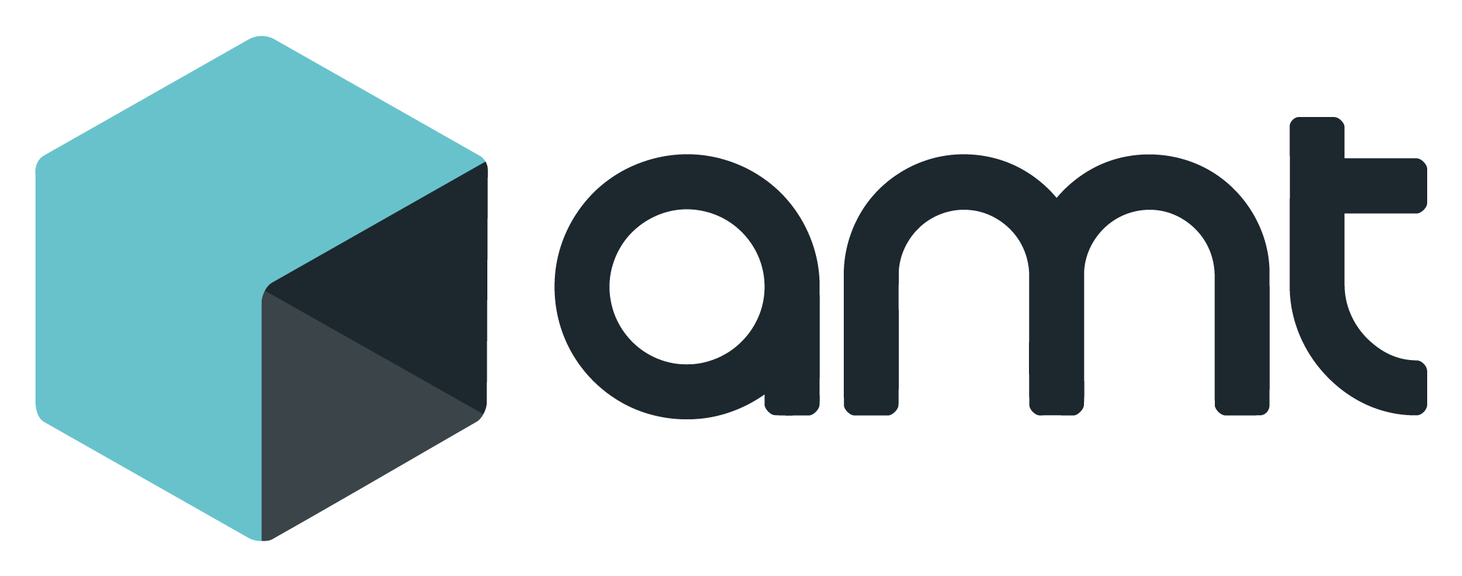 amt_logo_official-3
